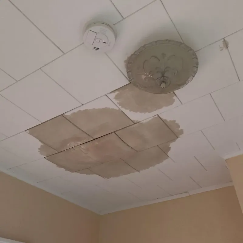 Ceiling Water Damage Repair in Melville, RI