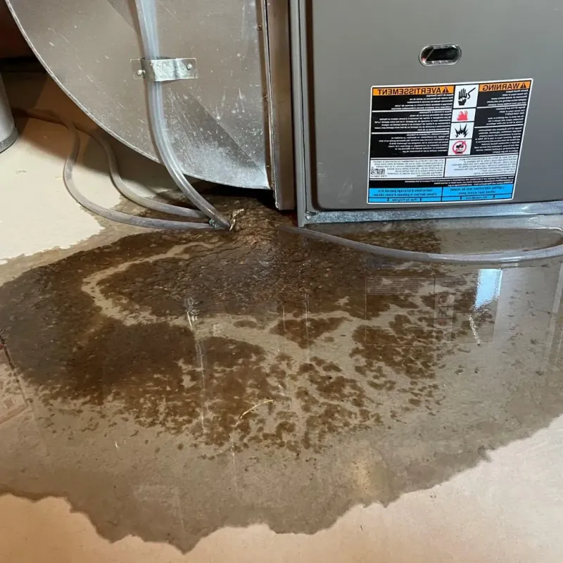 Pipe Burst and Leak Restoration in Melville, RI