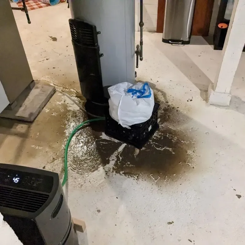 Sewage Backup Cleanup Service in Melville, RI